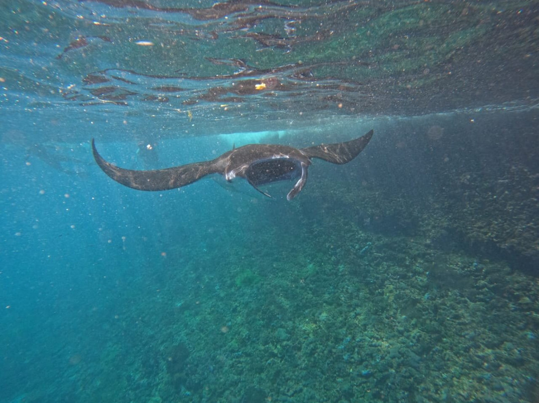 The King of The Sea Trip景点图片