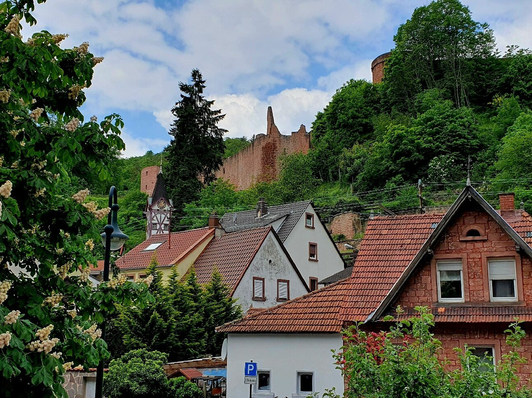 Burgruine Hardenburg-巴特迪克海姆必去景点