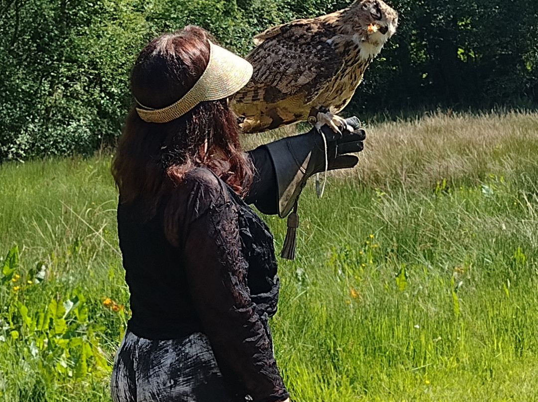 Strathblane Falconry-Strathblane必去景点