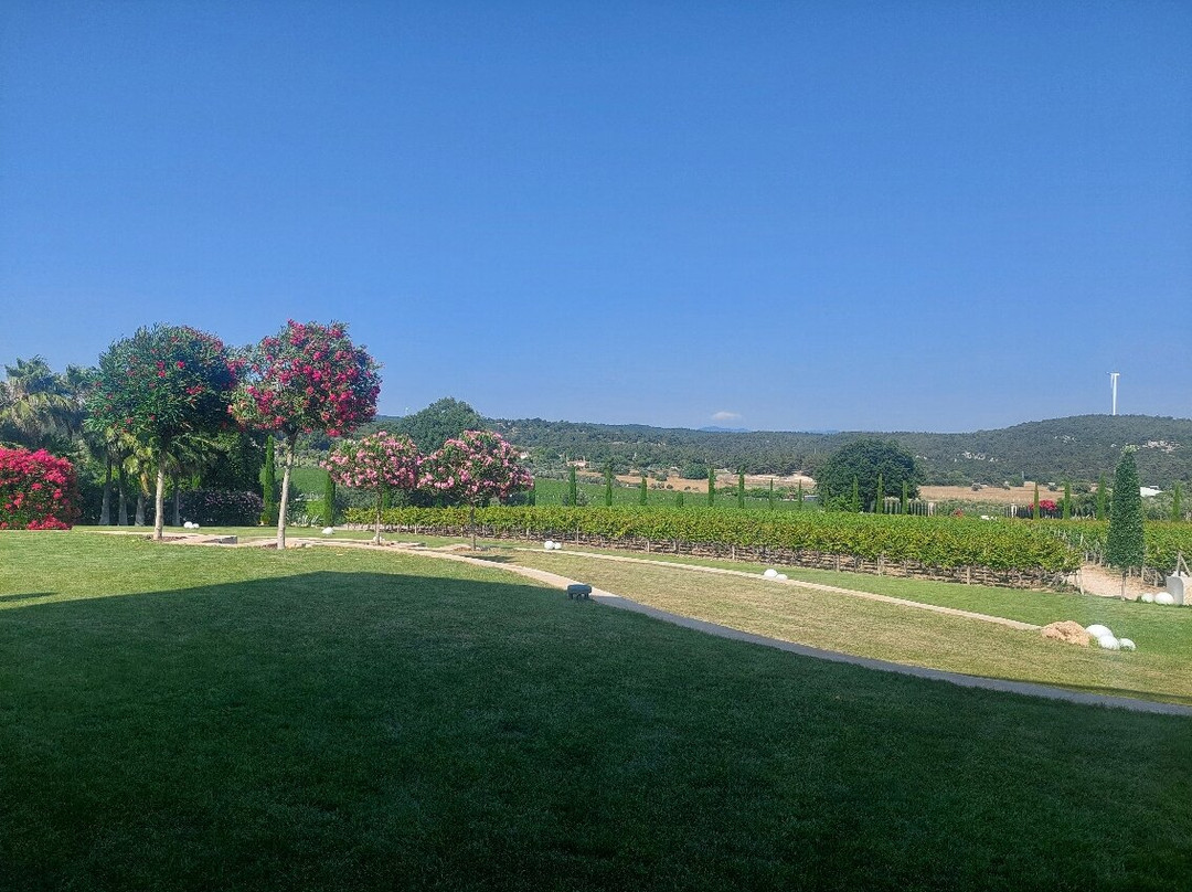Urla Winery景点图片