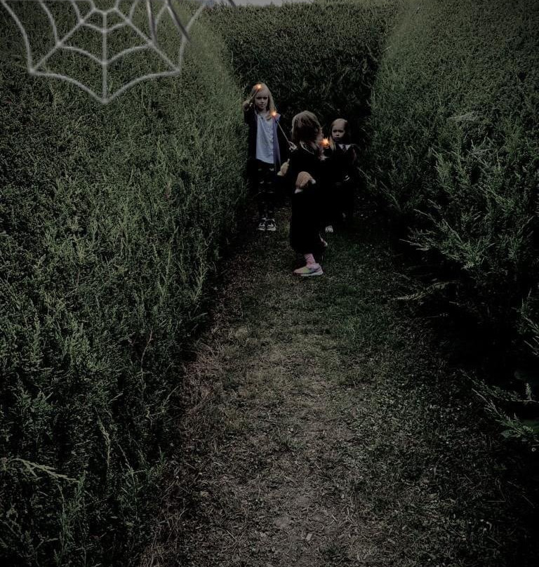 The Kildare Maze-Prosperous必去景点