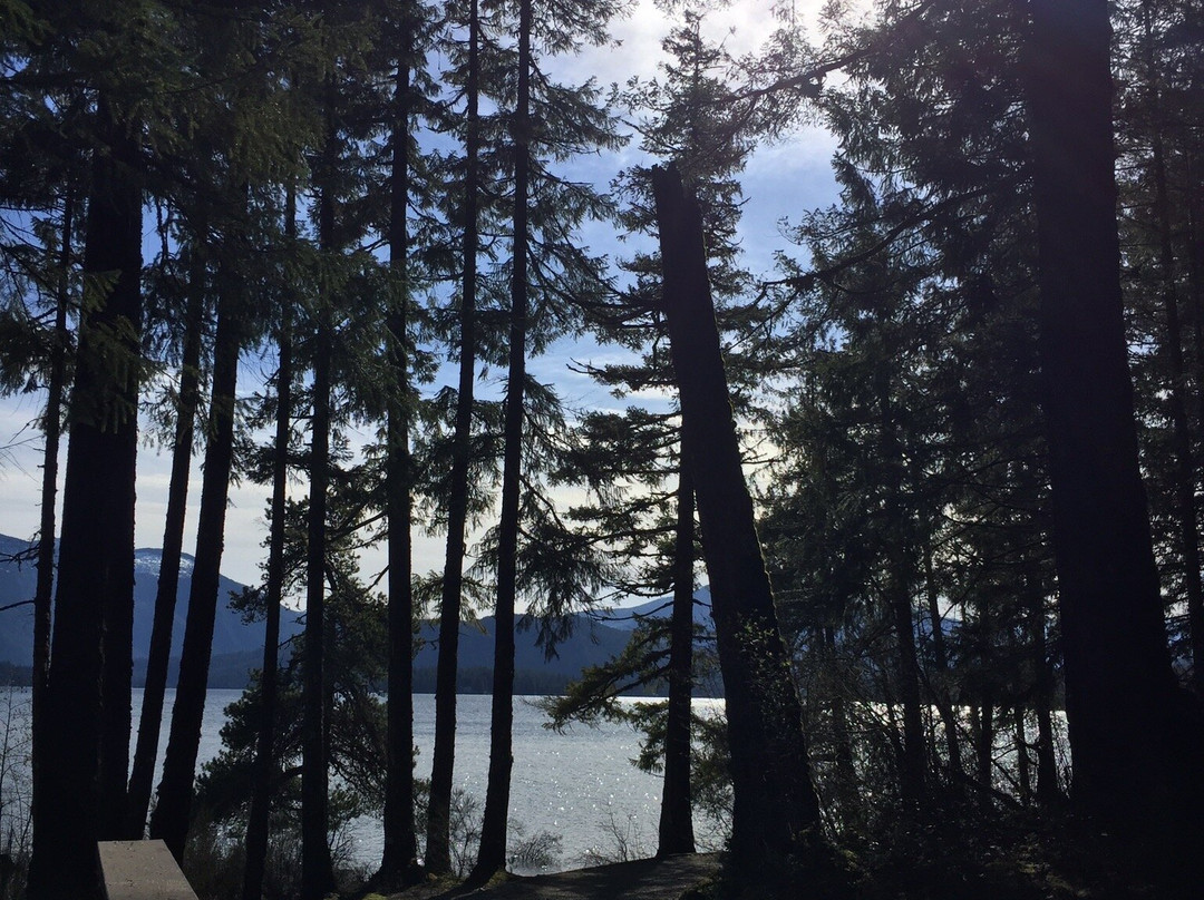 Sproat Lake Provincial Park景点图片