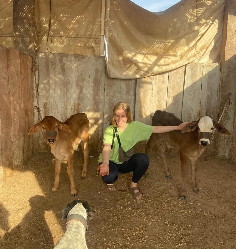 Mehai Stud Farm Horse Back Riding-焦特布尔必去景点