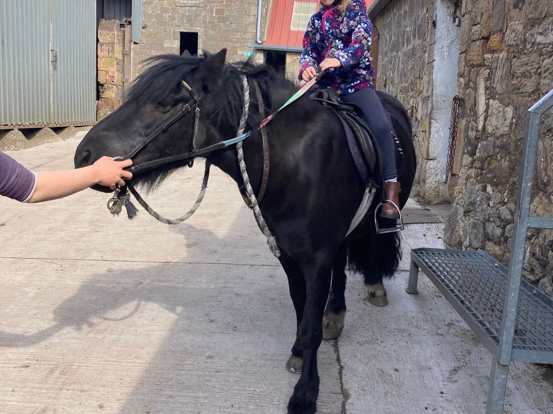 Barbarafield Riding School景点图片