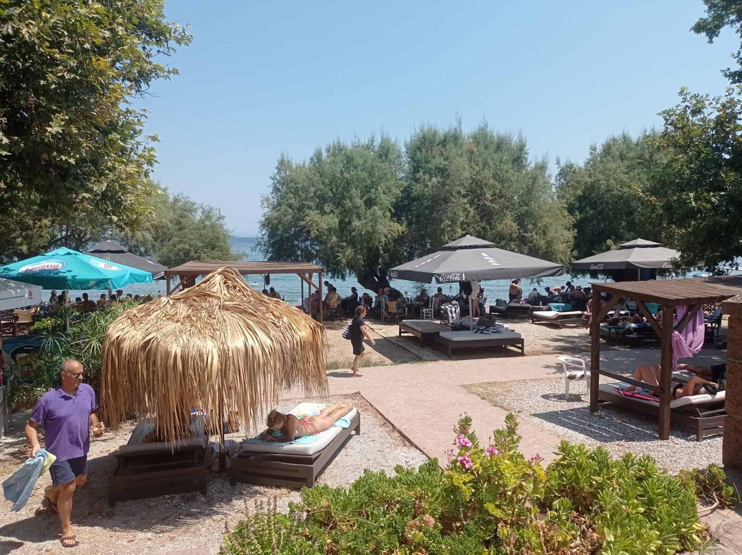 Petalidi Hotel主图