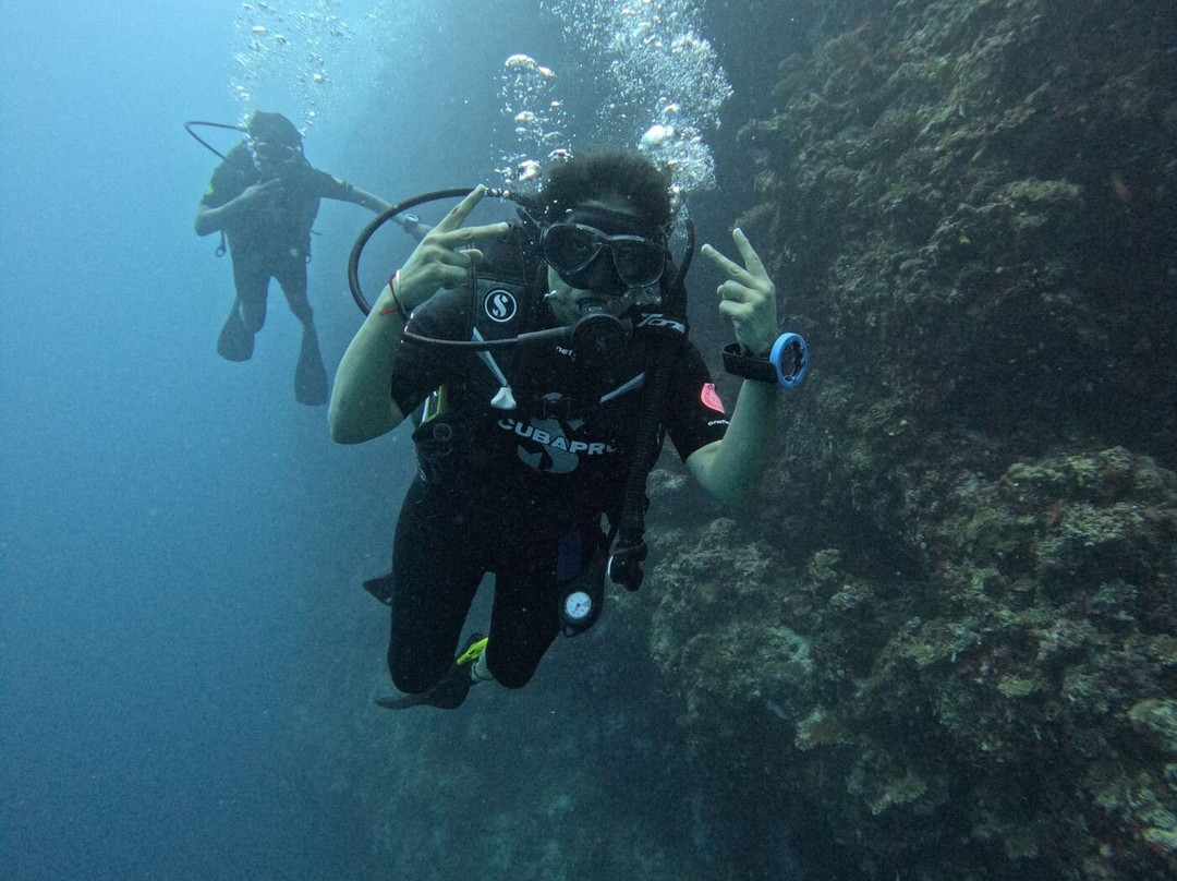Eco Dive Club景点图片