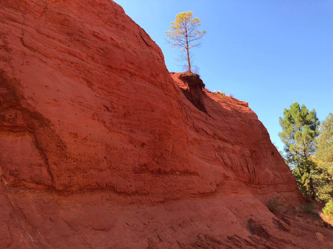 La Grange neuve - Chez Monique主图