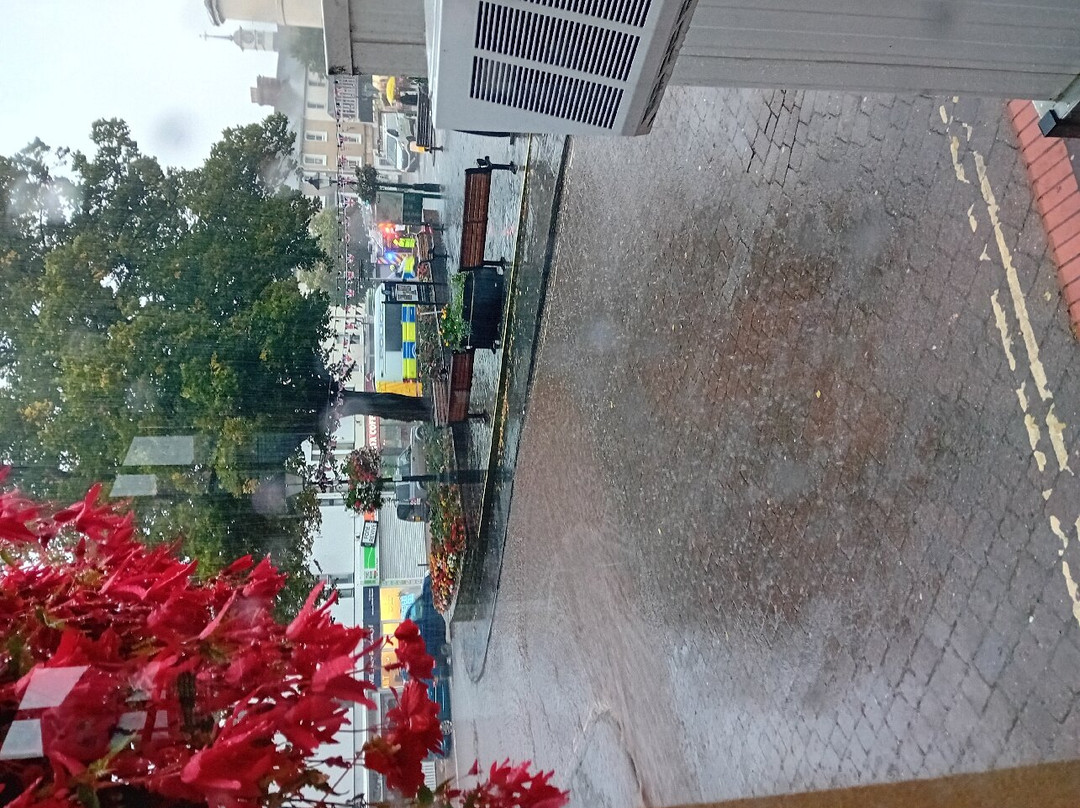 The Duke of Wellington主图