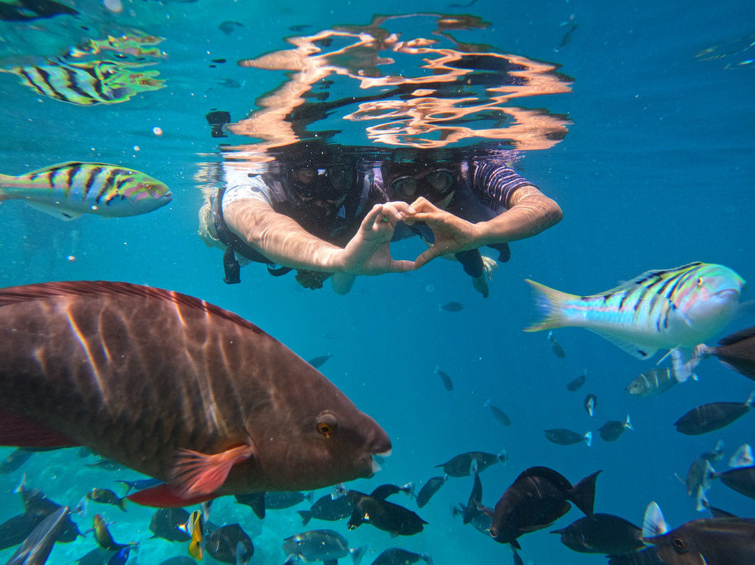 Crystal Sands Villa主图