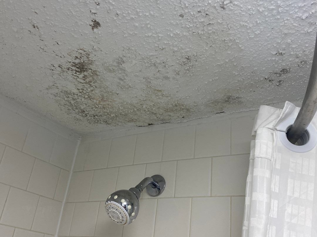 Econo Lodge Inn & Suites Hardeeville-I-95主图