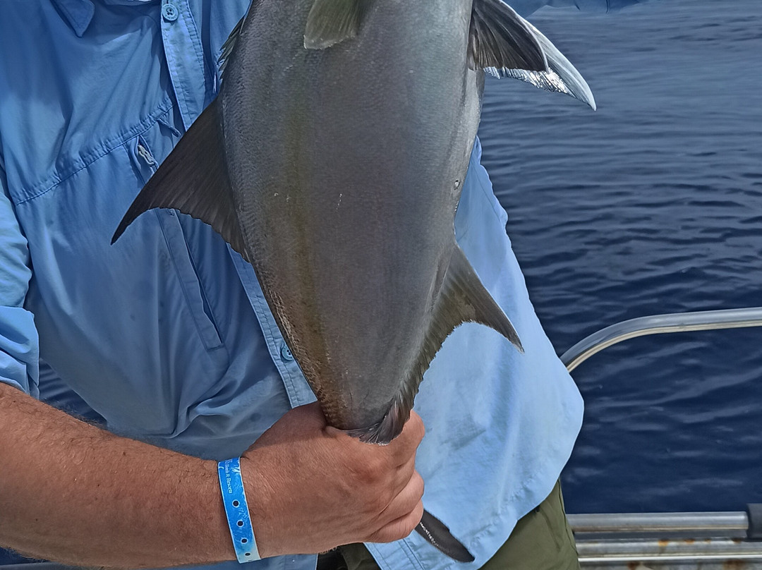 Sampeifish-博阿维斯塔必去景点