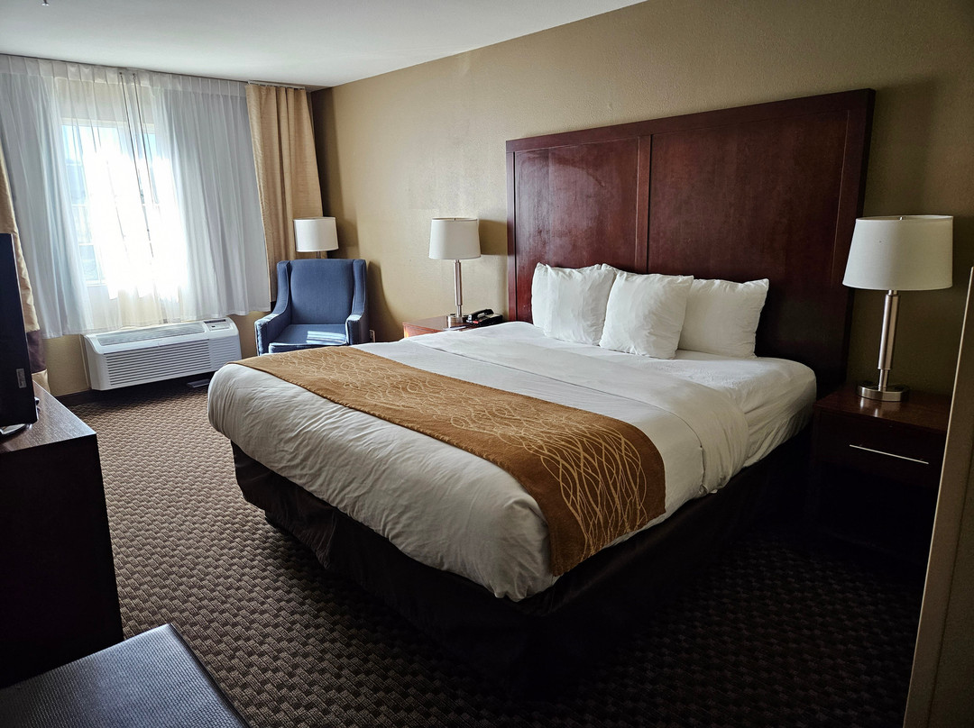 Comfort Inn Auburn - Seattle主图
