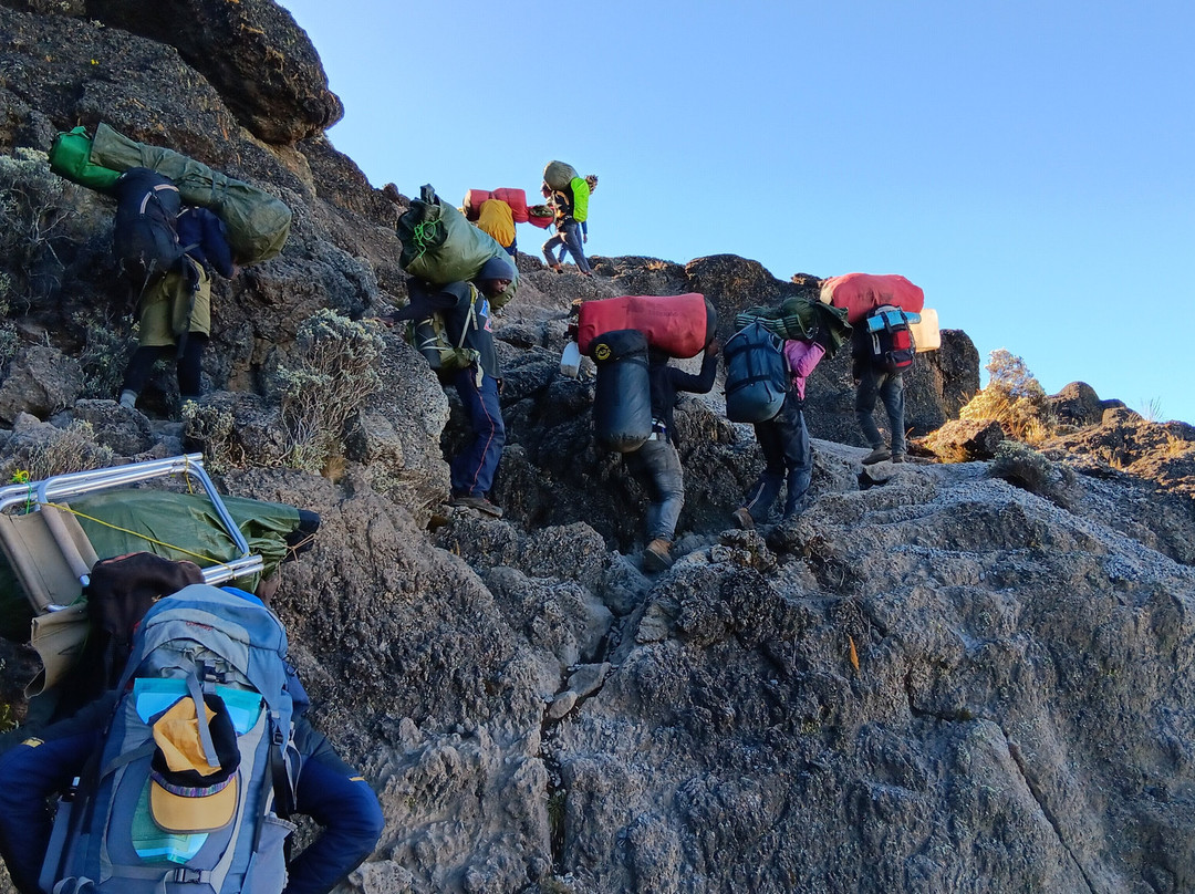 Majestic Kilimanjaro Treks and Safaris景点图片