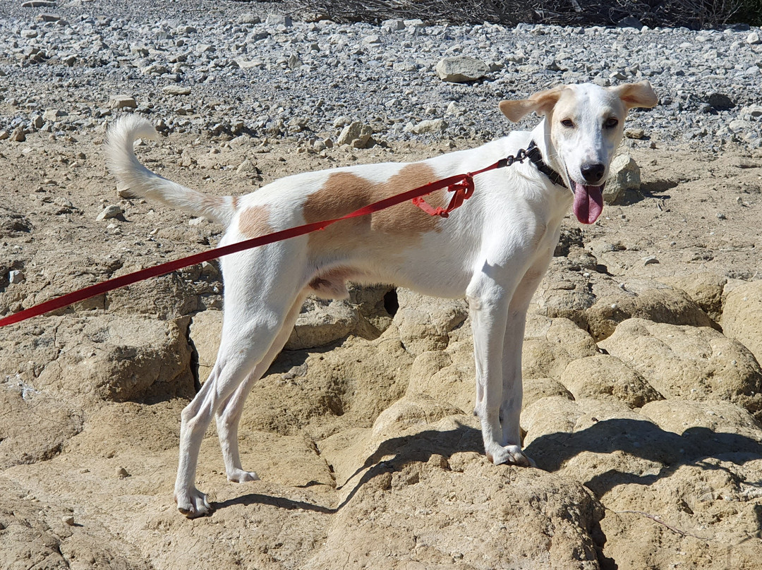 Jutta Shelter-Ierapetra必去景点