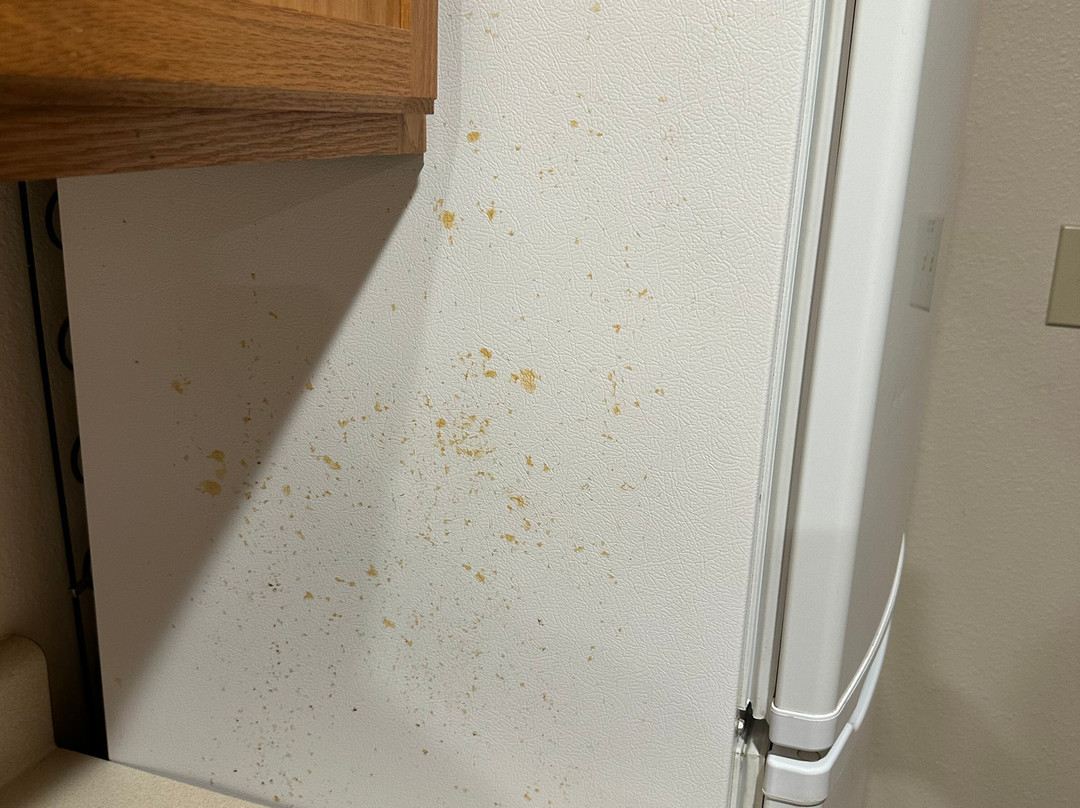 WoodSpring Suites Richmond Fort Lee主图