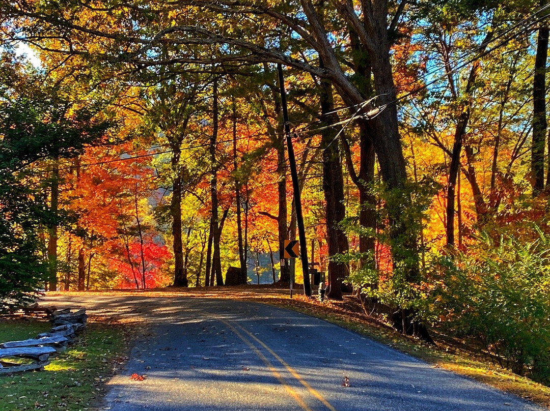 Blue Waters Mountain Lodge主图