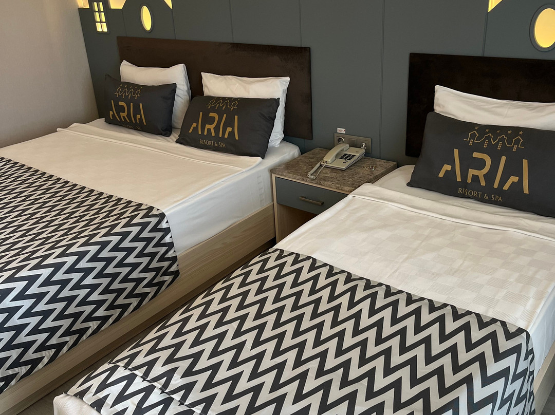 Aria Resort & Spa Hotel主图