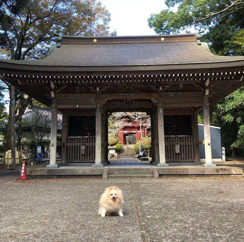 Mt. Otowa Kiyomizu Temple景点图片