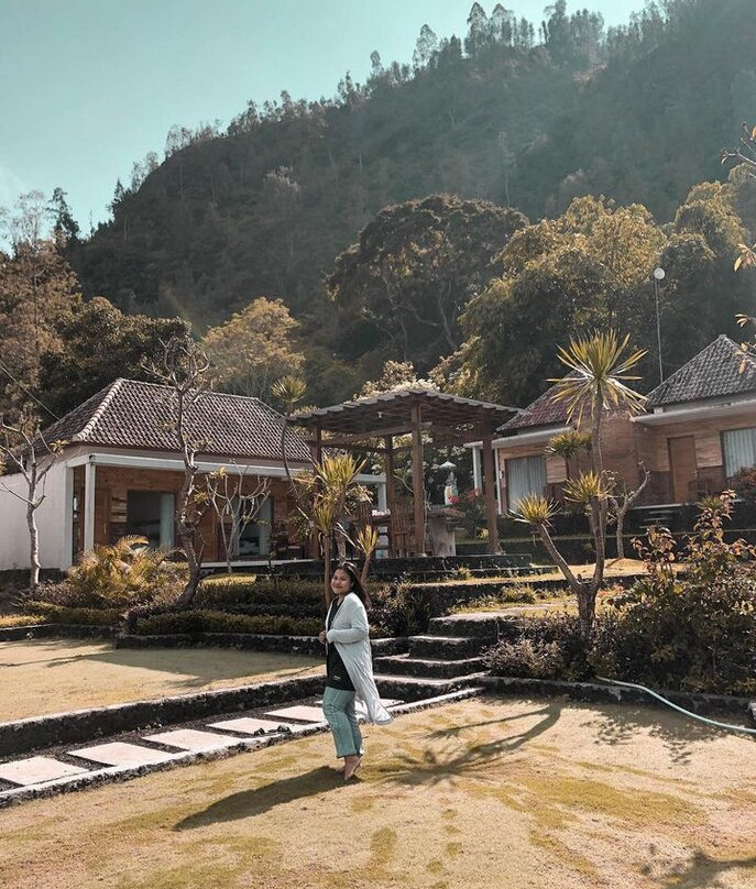 Host @ Volcano主图