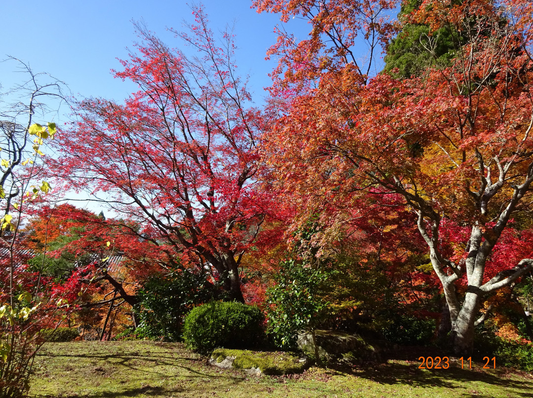 Hyakusai-ji Temple景点图片