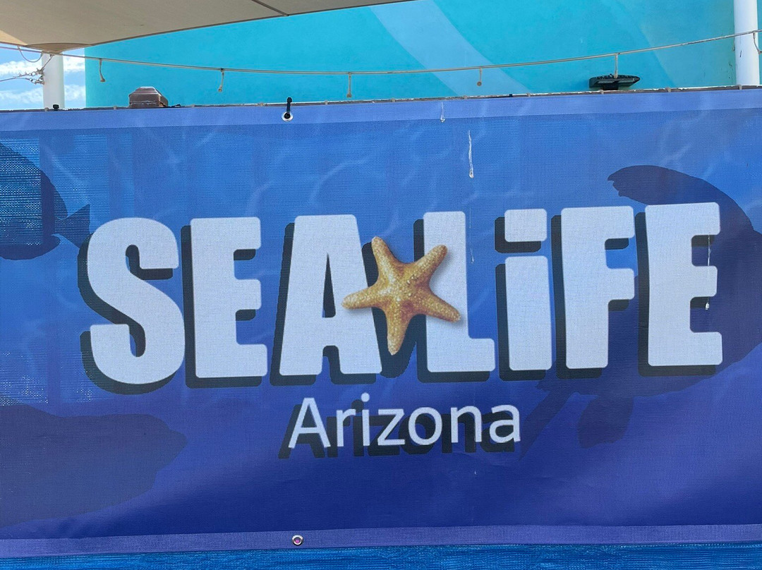 SEA LIFE Arizona Aquarium-坦佩必去景点