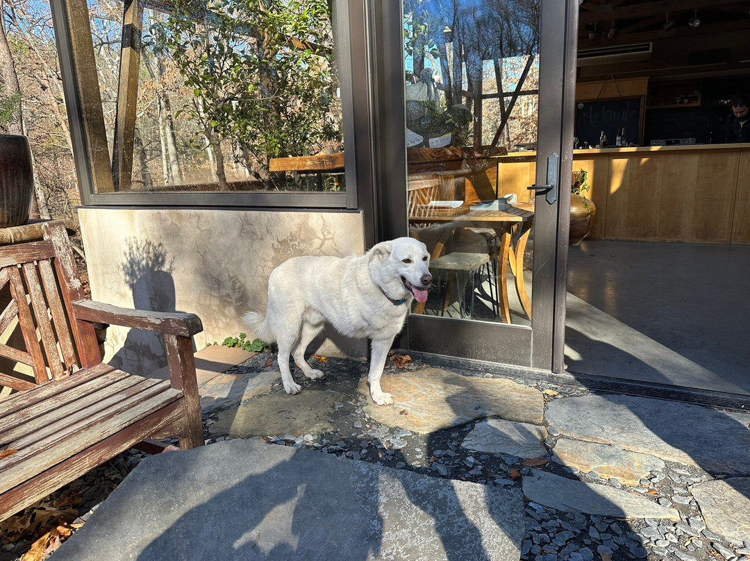 Gabriele Rausse Winery-夏洛茨维尔必去景点