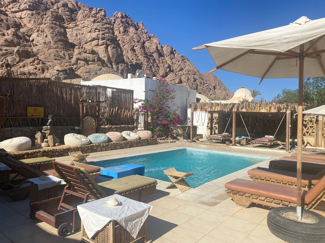 Sinai Old Spices B&B主图