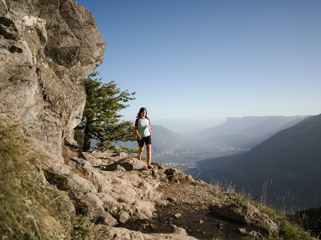 Merano High Mountain Trail景点图片