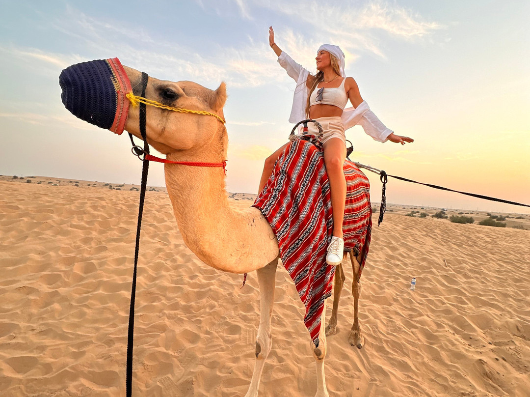 Dubai Desert Safari Tours景点图片