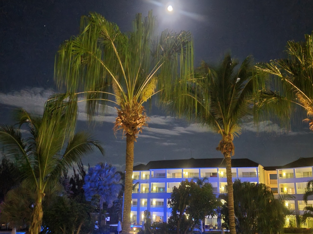 圣詹姆斯秘密主图