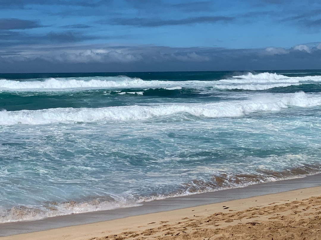 1 Epic Tour LLC-火奴鲁鲁必去景点