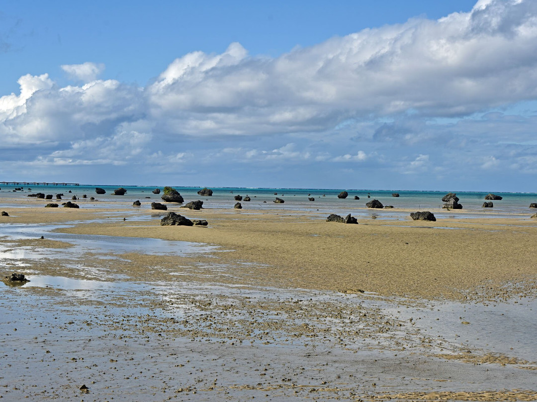 Sawada no hama Beach景点图片