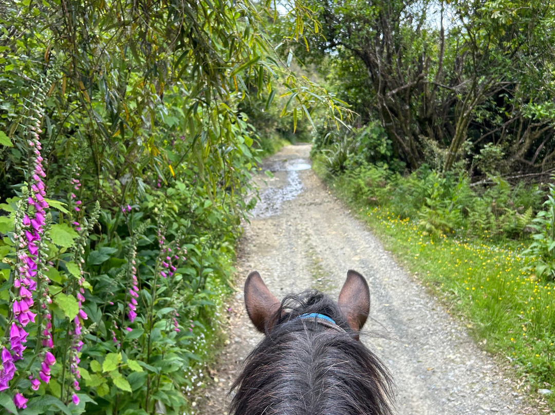 Horsemtrails景点图片