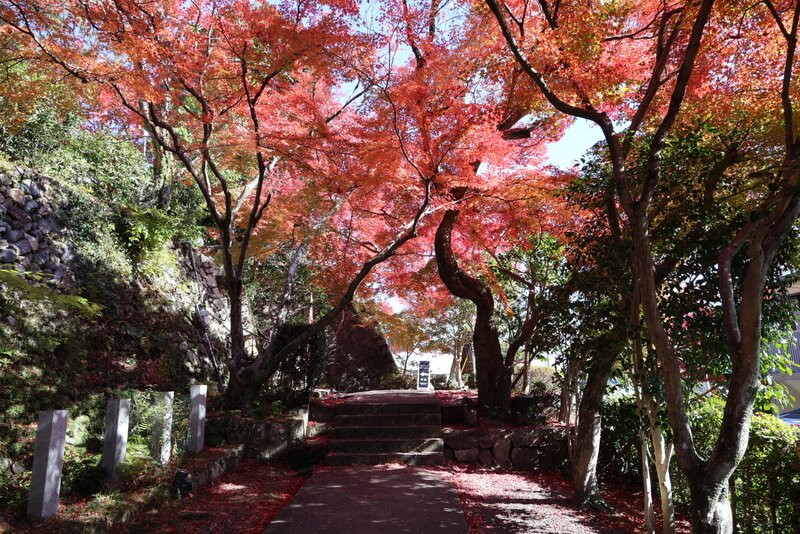 Shotengu Saikoji Temple-美浓市必去景点