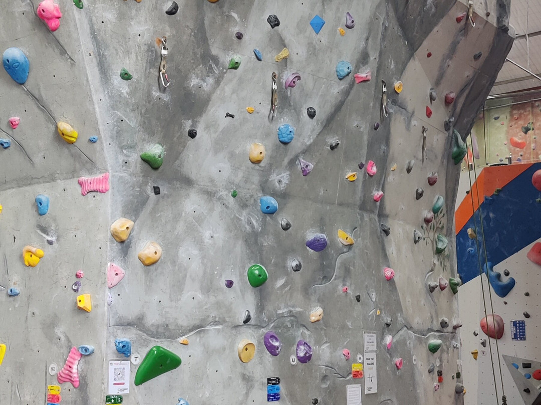 Extreme Edge Indoor Climbing Panmure-奥克兰中心地区必去景点