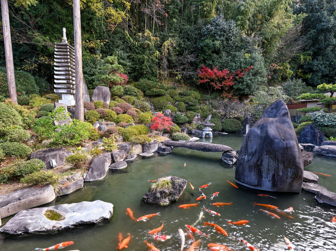 笛吹川温泉坐忘酒店主图