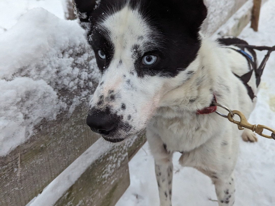 Sunny Safari-罗瓦涅米必去景点