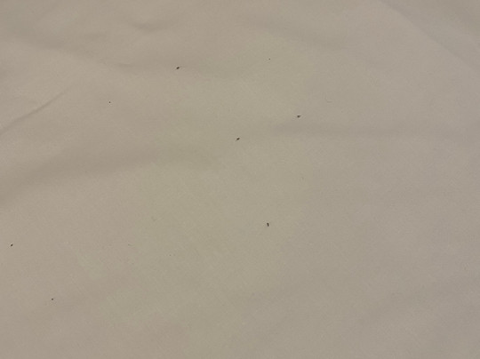 海湾别墅度假村主图