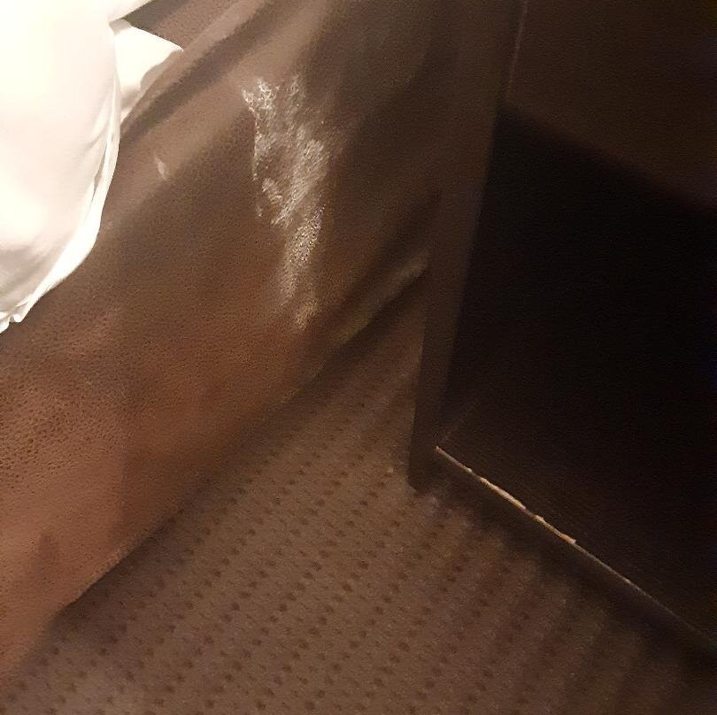 Sleep Inn & Suites Stony Creek - Petersburg South主图