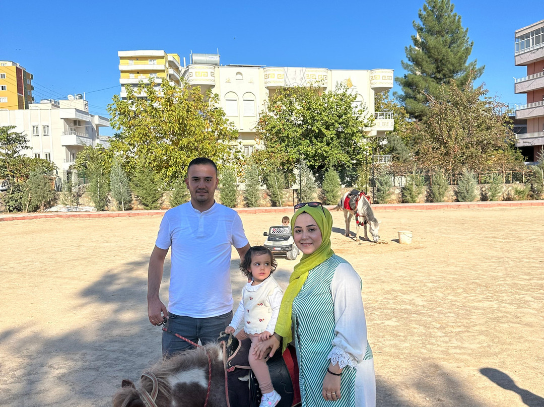 Midyatta bahcamatite atciftligi-Kiziltepe必去景点