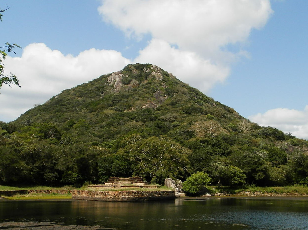 Kalu Diya Pokuna Natural Black Water Pond景点图片