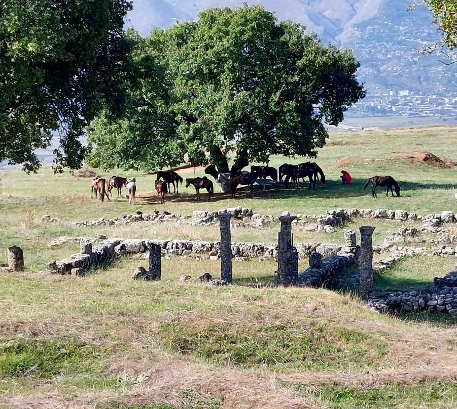 Caravan Horse Riding Albania景点图片