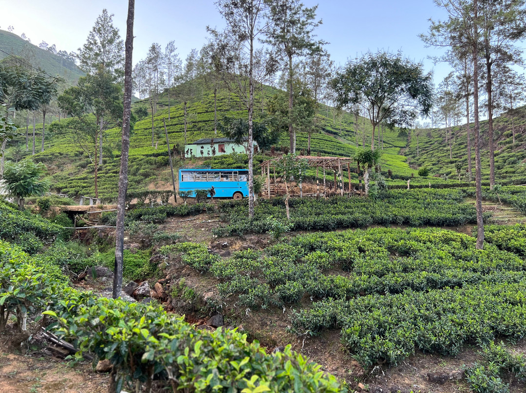 Hugging Clouds Tours-Nallathanniya必去景点