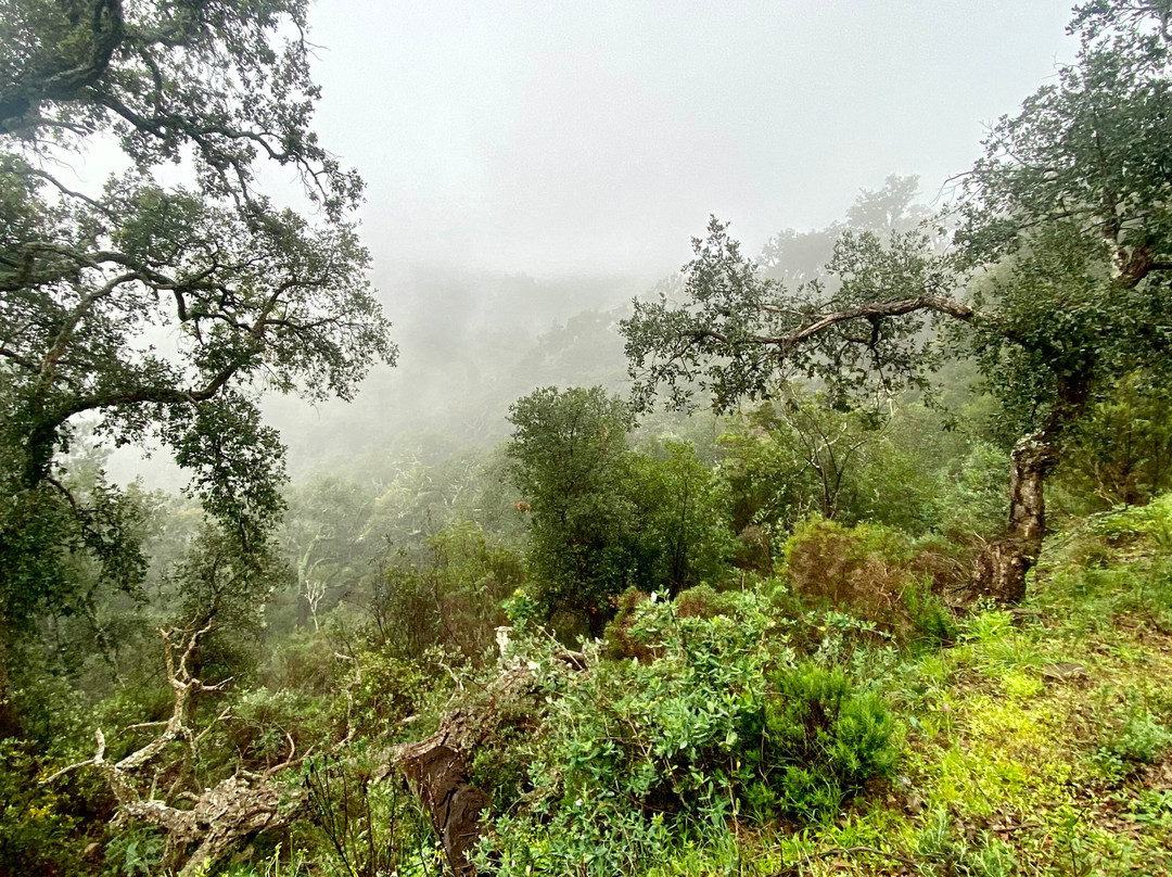 PerNatur - Nature Trails景点图片