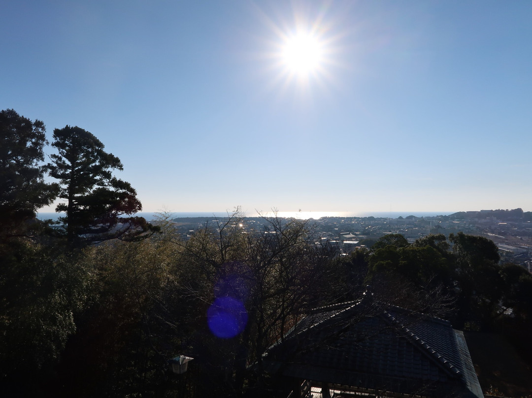 Ruins of Shingu Castle-新宫市必去景点