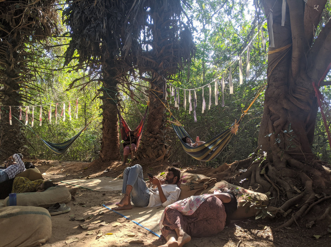Sadhana Forest-Auroville必去景点
