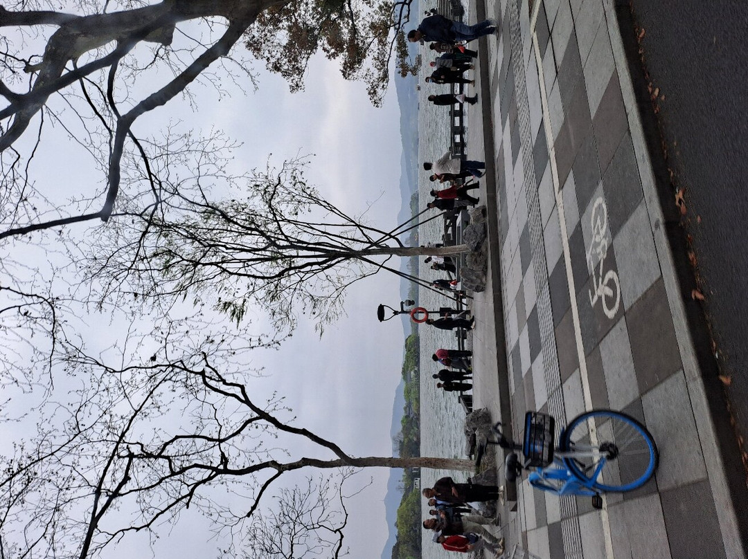 法喜寺景点图片
