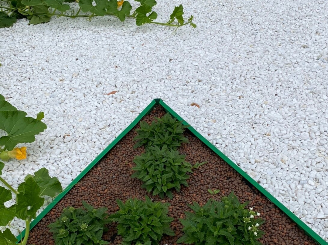 Vavilovsky vegetable garden-Akademgorodok必去景点