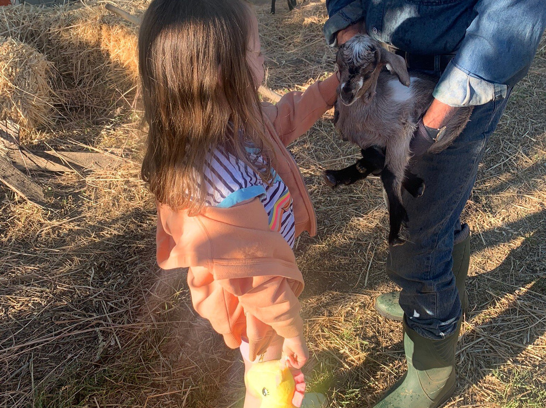 Arodamos Guesthouse主图