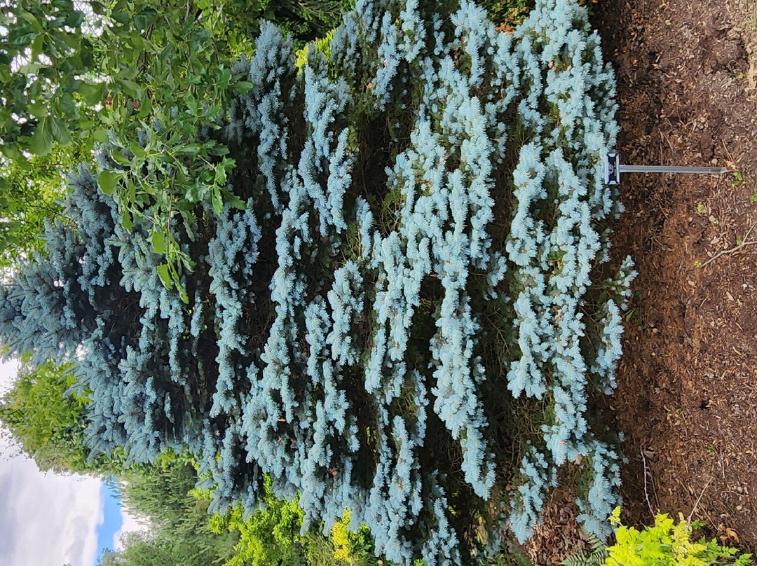 Secrest Arboretum-Wooster必去景点